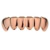 rose gold grill bottom
